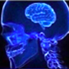 brain1